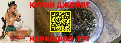 крисы Гусиноозёрск