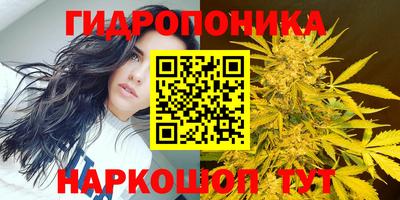 apvp Гусь-Хрустальный