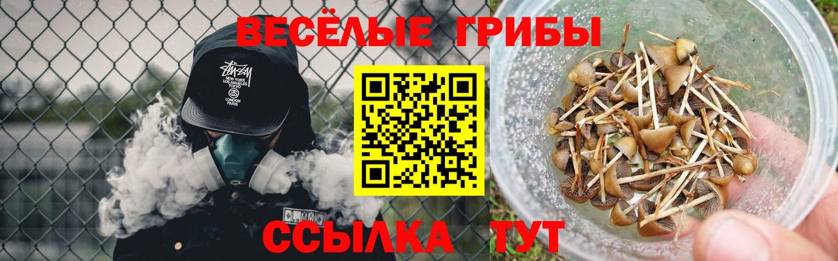 Мыски  Псилоцибиновые грибы Psilocybine cubensis  Вход с VPN  Галлюциногенные грибы Magic Shrooms 